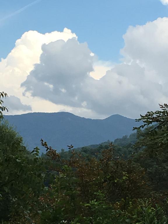 Вилла Serenity Views Bungalow - Close To City And Parkway! Weaverville Экстерьер фото